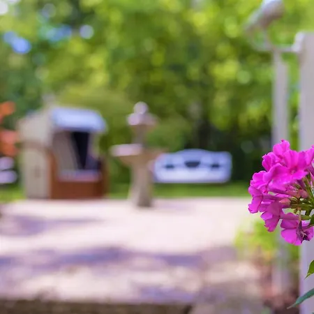 Hotel Carolinenhof Berlino